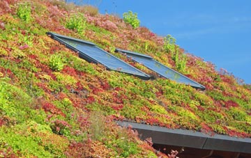 Llandegfan living roof systems